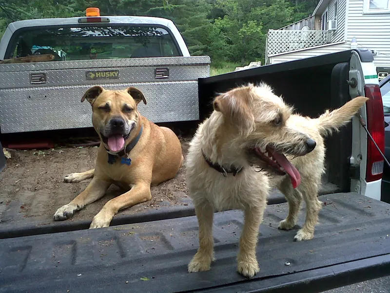 Field Managers